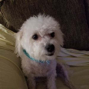 Meet your Posher, Randie